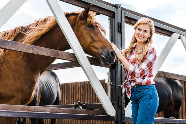 Belo fazendeiro palmando cavalo marrom em estável e olhando para a câmera — Fotografia de Stock