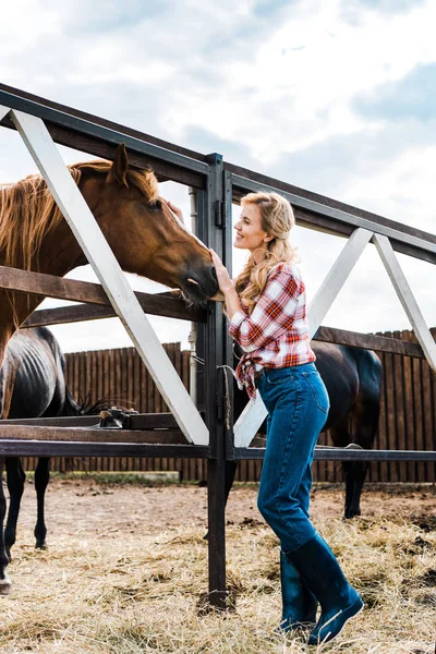 Side view of attractive smiling farmer palming horse in stable — Stock Photo