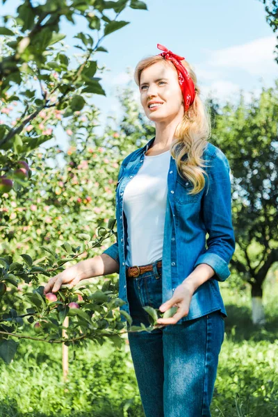 Atractivo agricultor tocando el árbol en el jardín de manzanas en la granja y mirando hacia otro lado - foto de stock