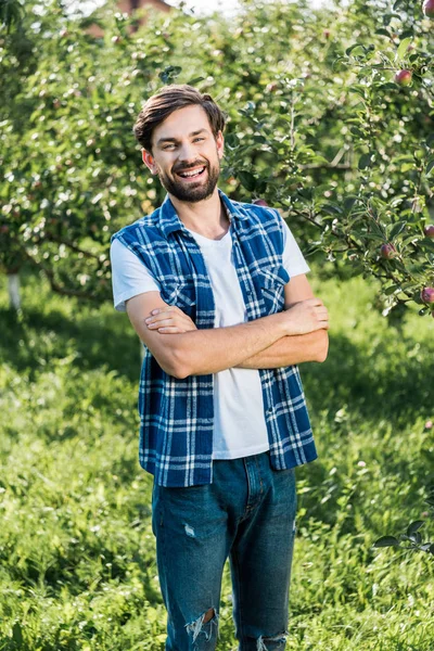 Riendo granjero guapo de pie con los brazos cruzados en el jardín de manzanas en la granja - foto de stock