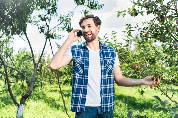 Sonriente granjero guapo hablando por teléfono inteligente en el jardín de manzanas en la granja - foto de stock
