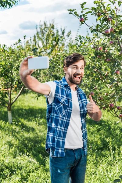 Agricultor feliz mostrando el pulgar hacia arriba para cosechar y tomar selfie con teléfono inteligente en el jardín de manzanas - foto de stock