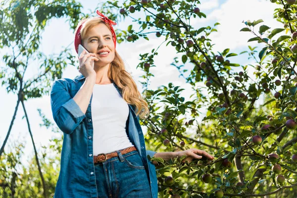 Низкий угол зрения улыбающийся привлекательный фермер разговаривает со смартфоном в яблоневом саду на ферме — стоковое фото