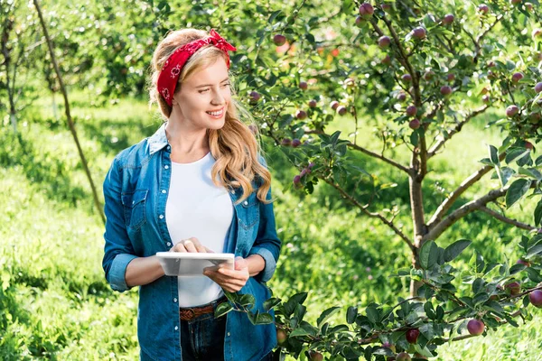Agricultor atractivo examinando la cosecha en el huerto de manzanas en la granja con tableta - foto de stock