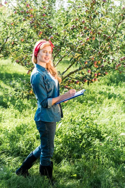 Agricultor atractivo examinando la cosecha en huerto de manzanas en granja - foto de stock