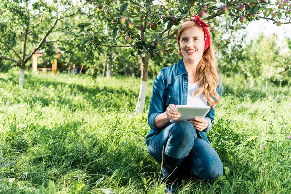 Atractivo agricultor sentadilla y la celebración de tabletas en el huerto de manzanas en la granja - foto de stock