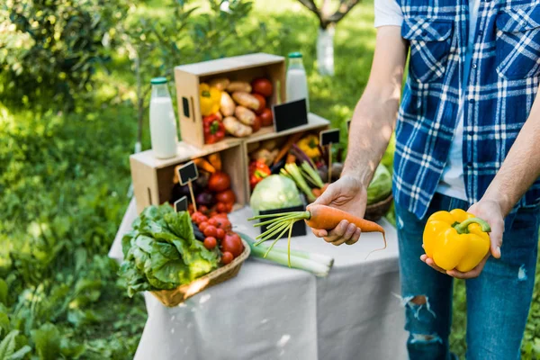 Cropped image of farmer showing ripe ecological vegetables at farmer market — Stock Photo