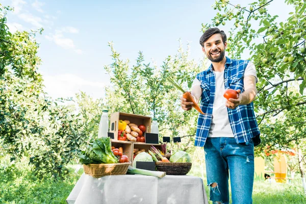 Happy farmer showing ripe ecological vegetables at farmer market — Stock Photo