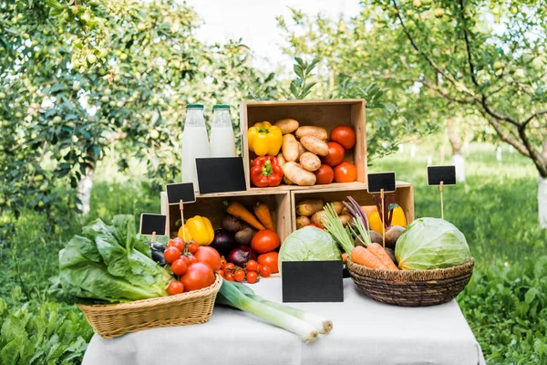 Verduras ecológicas apetitosas maduras en cajas en el puesto de mercado - foto de stock