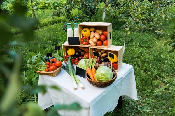 Mature deliziose verdure ecologiche in scatole al mercato agricolo — Foto stock