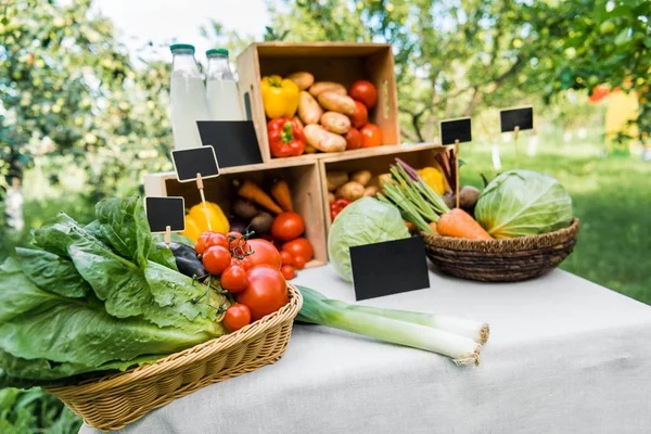Verduras ecológicas maduras en cajas en el puesto de mercado - foto de stock