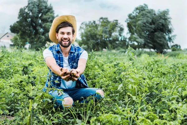 Handsome happy farmer showing ripe potatoes in hands in field — Stock Photo