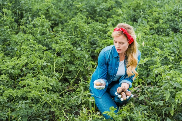 Attractive farmer looking at potatoes in field at farm — Stock Photo