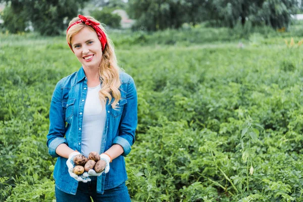 Sonriente agricultor atractivo sosteniendo papas maduras en el campo en la granja y mirando a la cámara - foto de stock