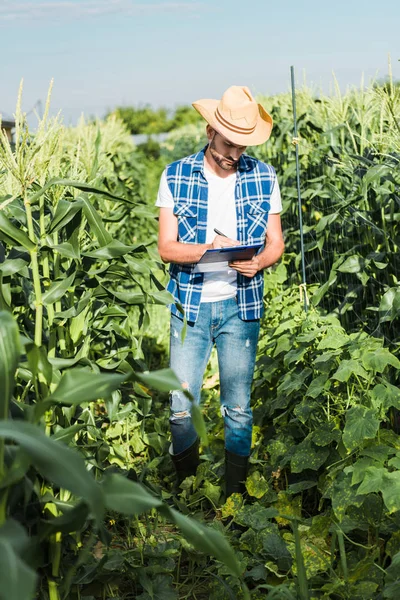 Granjero guapo en sombrero de paja comprobación de la cosecha con portapapeles en el campo en la granja - foto de stock