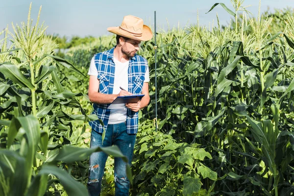 Schöne Bäuerin überprüft Ernte mit Klemmbrett im Feld auf Bauernhof — Stockfoto