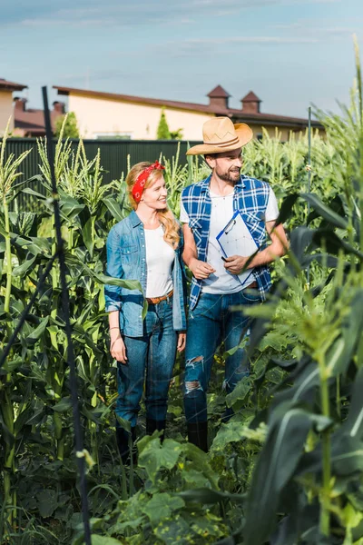 Un par de agricultores sonrientes revisando la cosecha con portapapeles en el campo en la granja - foto de stock