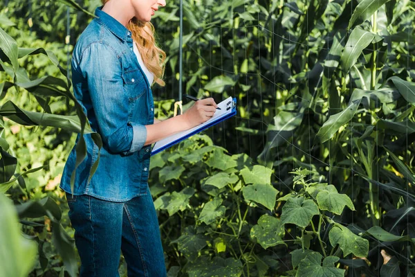 Imagen recortada del agricultor comprobando la cosecha con el portapapeles en el campo en la granja - foto de stock