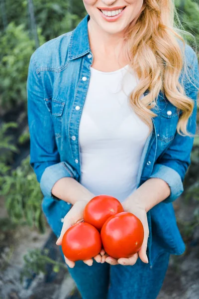 Cropped image of smiling farmer holding ripe organic tomatoes in field at farm — Stock Photo