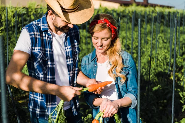 Feliz pareja de agricultores sosteniendo zanahorias orgánicas en el campo en la granja - foto de stock