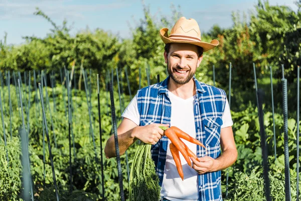 Sonriente granjero guapo sosteniendo zanahorias orgánicas en el campo en granja - foto de stock