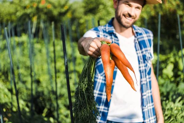 Красивый фермер показывает органическую морковь в поле на ферме — стоковое фото