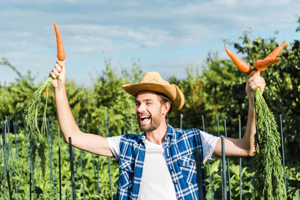 Happy handsome farmer showing organic carrots in field at farm — Stock Photo
