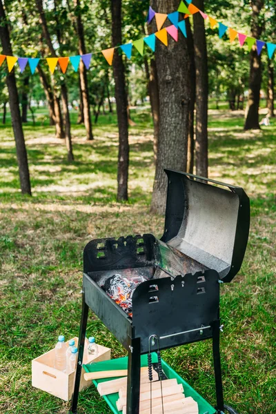 Close up view of grill with logs for barbecue in park — Stock Photo