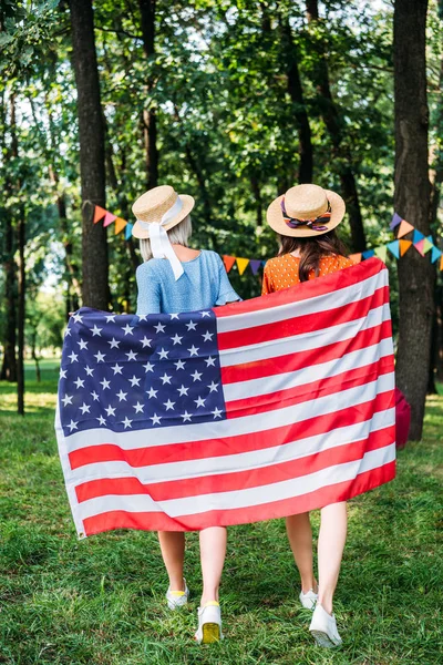 Vista trasera de amigos con bandera americana caminando en parque - foto de stock