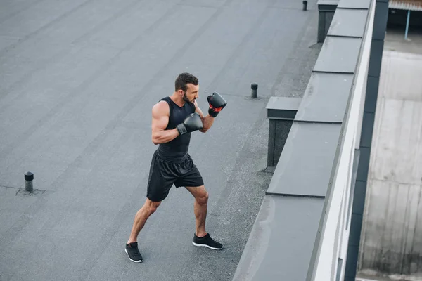 High angle view of boxer training on roof — Stock Photo