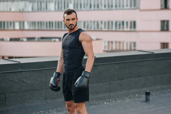 Красивий спортсмен, що стоїть з чорними боксерськими рукавичками на даху — стокове фото