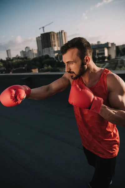 Side view of handsome boxer training with boxing gloves on roof — Stock Photo