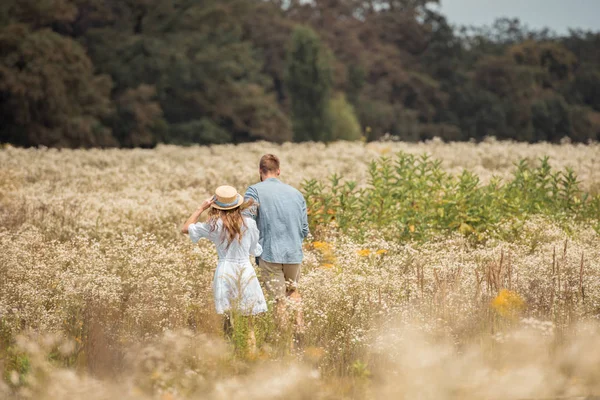 Visão traseira do casal andando em arquivado com flores selvagens ao redor — Fotografia de Stock