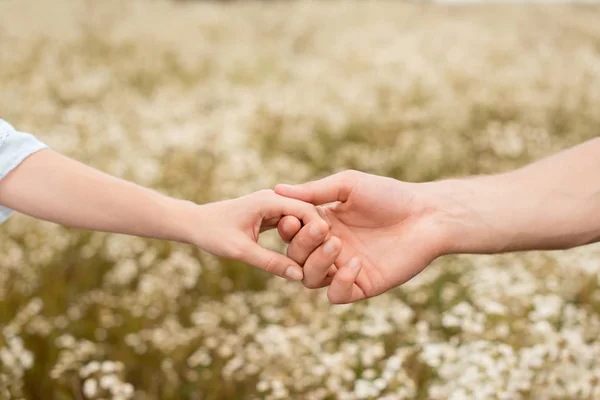 Teilweise Ansicht der Liebenden Händchen haltend mit wilden Blumen auf dem Hintergrund — Stockfoto