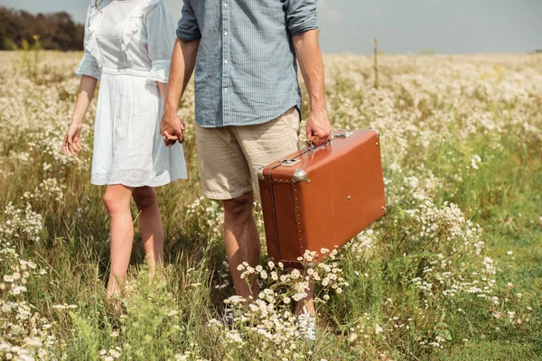 Corte tiro de casal com mala retro de mãos dadas enquanto em pé no campo com flores selvagens — Fotografia de Stock