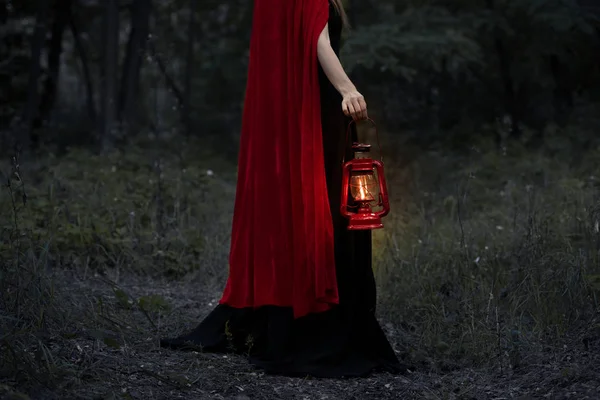 Vista ritagliata di ragazza mistica con lampada al cherosene che cammina nella foresta scura — Foto stock