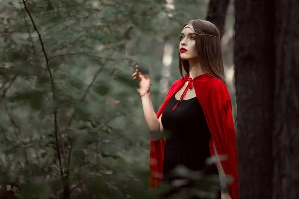 Joven mística en capa roja en el bosque - foto de stock