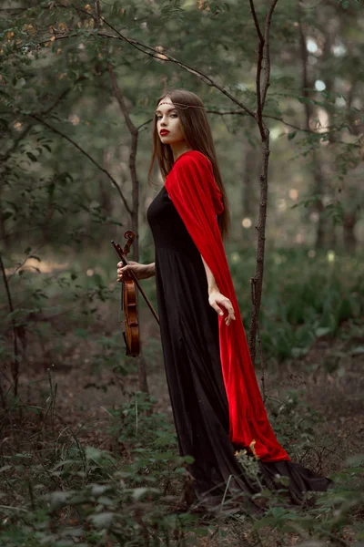 Attractive mystic woman in black dress and red cloak holding violin in forest — Stock Photo