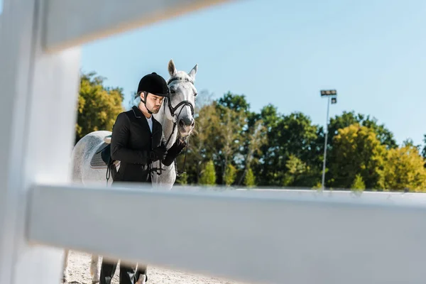 View through fence on handsome male equestrian standing near white horse at horse club — Stock Photo