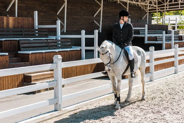 Handsome male equestrian riding horse at horse club — Stock Photo