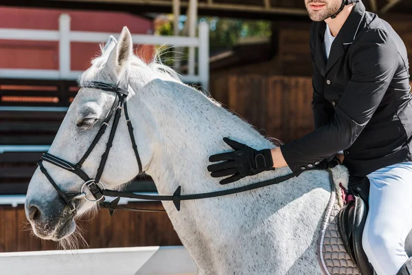 Cropped image of male equestrian riding and palming horse at horse club — Stock Photo
