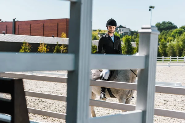 Vista a través de la valla en el caballo ecuestre macho guapo en el club de caballos y mirando a la cámara - foto de stock