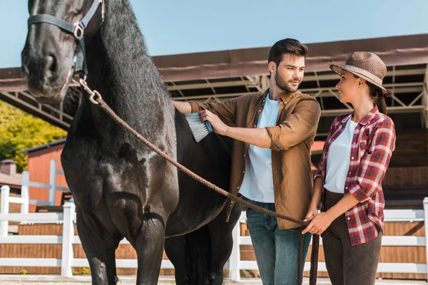 Masculino equestre limpeza preto cavalo com escova no rancho e olhando para colega — Fotografia de Stock