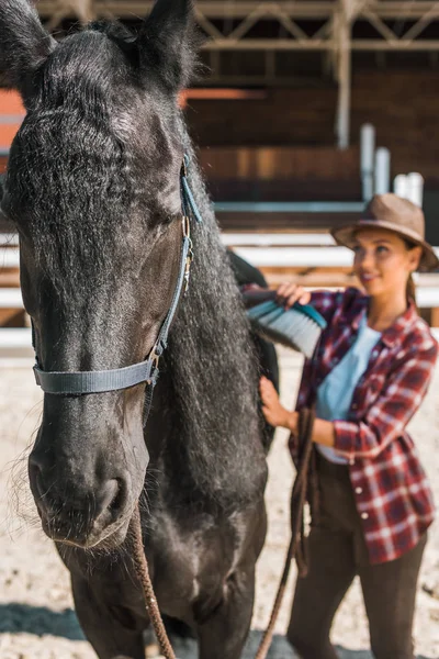 Foco seletivo de vaqueira atraente limpeza cavalo preto com escova na fazenda — Fotografia de Stock