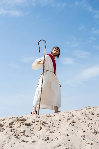 Jesus in robe, red sash and crown of thorns walking on sandy hill with staff in desert — Stock Photo