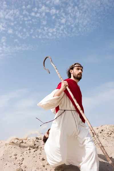 Jesus de roupão, faixa vermelha e coroa de espinhos correndo no deserto com cajado — Fotografia de Stock