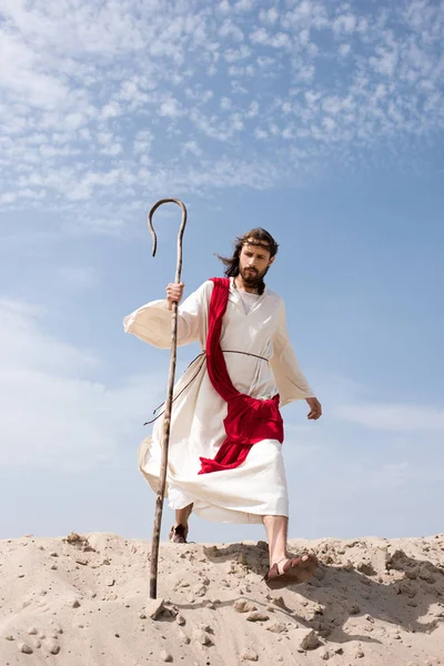 Jesús en túnica, faja roja y corona de espinas caminando en el desierto con bastón - foto de stock
