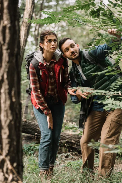 Pareja de jóvenes viajeros con mochilas senderismo en el bosque - foto de stock