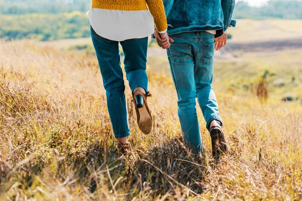 Vista ritagliata di coppia che cammina sul prato rurale — Foto stock