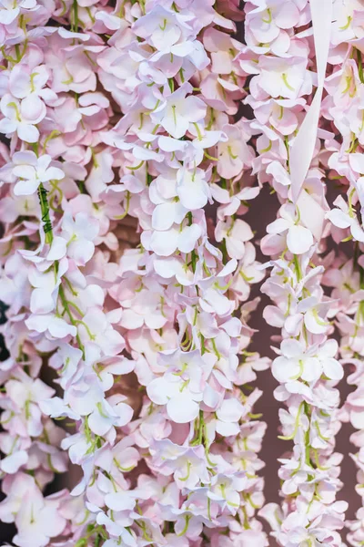 Vista de cerca de hermosas flores decorativas de color rosa fondo marco completo - foto de stock